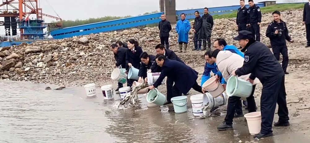 《長江保護(hù)法》宣傳周 | 安慶大觀：多部門參與增殖放流活動